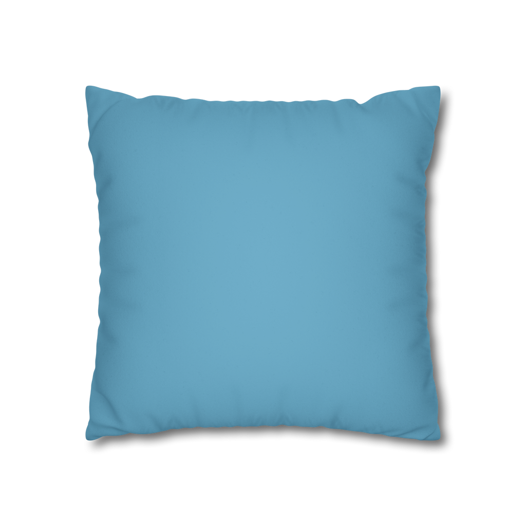 Vintage Aqua pillow