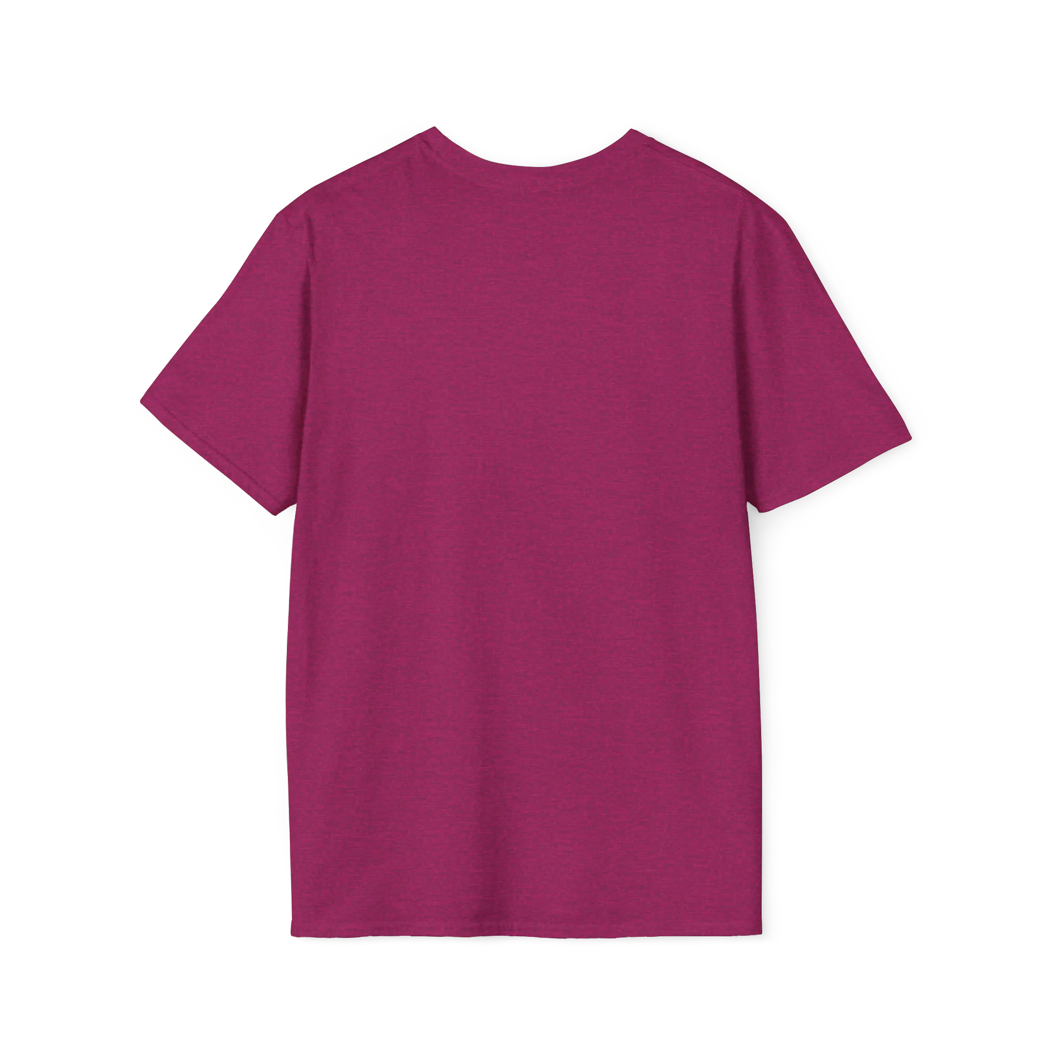 A back view of the antique heather heliconia women's rights are human rights t-shirt.
