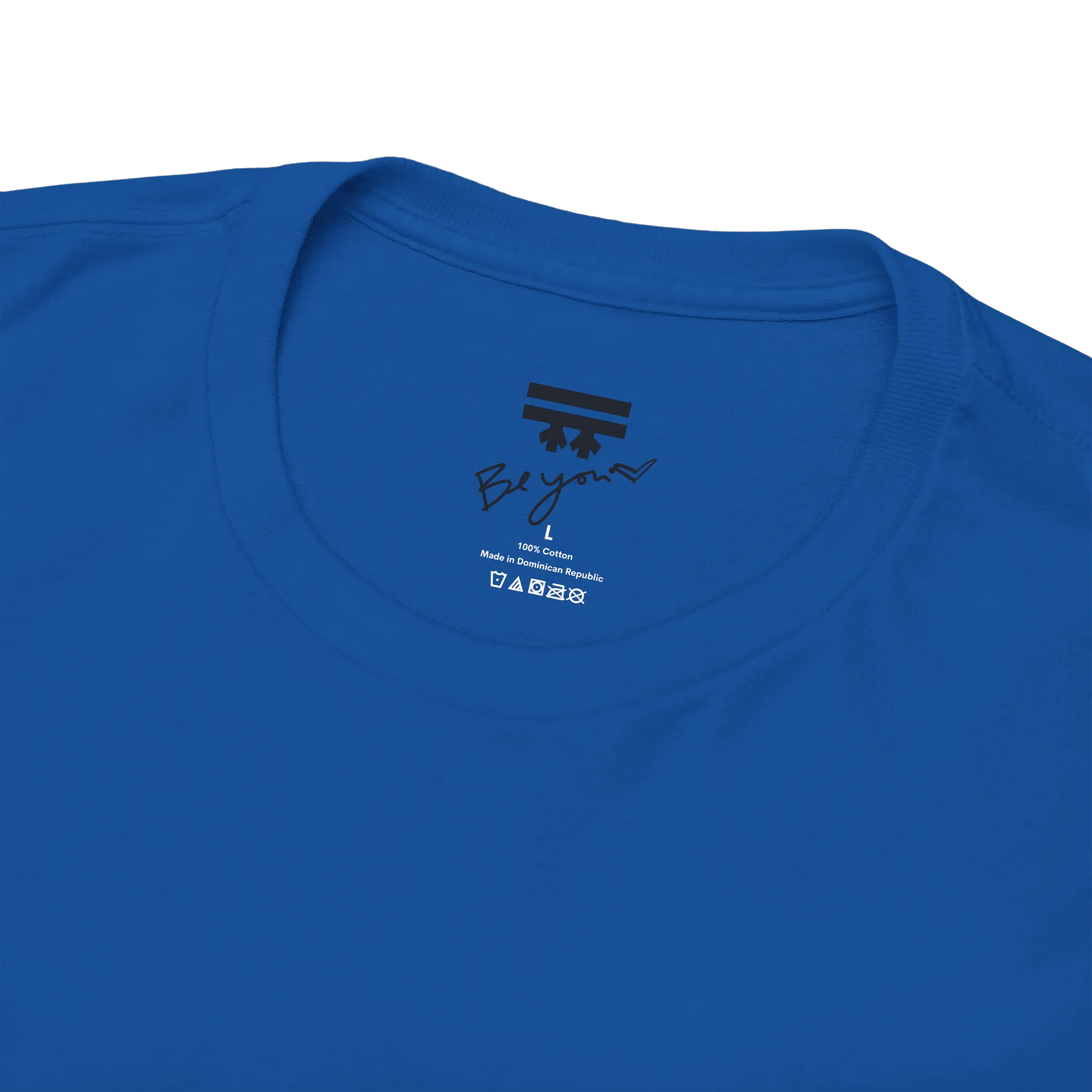 Freedom! Rainbow Script Premium T-Shirt