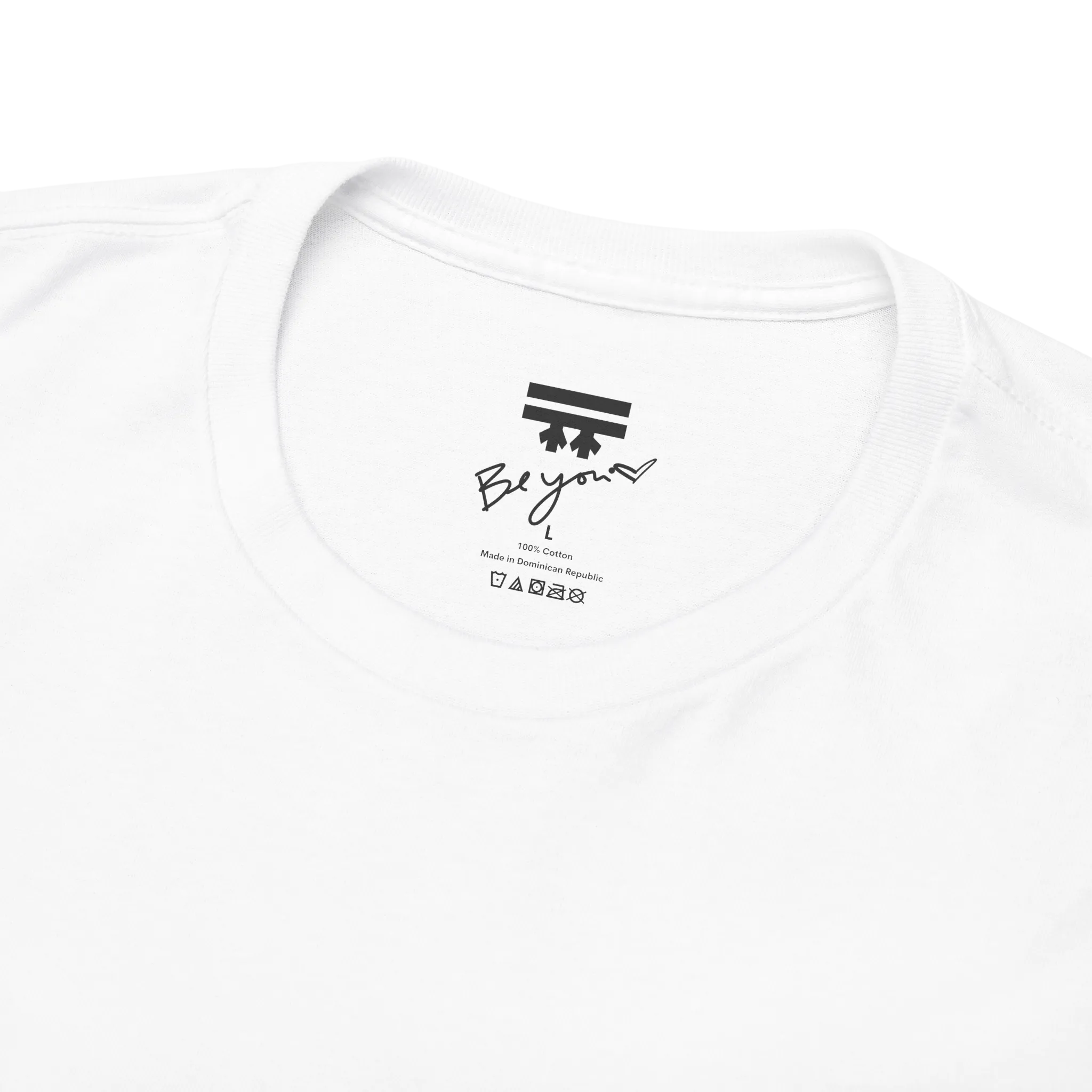 Freedom! Rainbow Script Premium T-Shirt