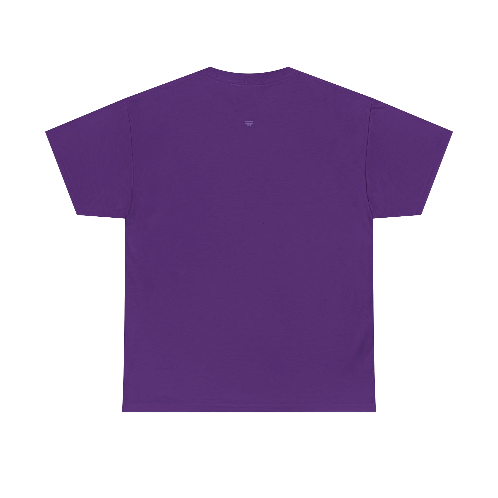 Freedom! Rainbow Script Premium T-Shirt