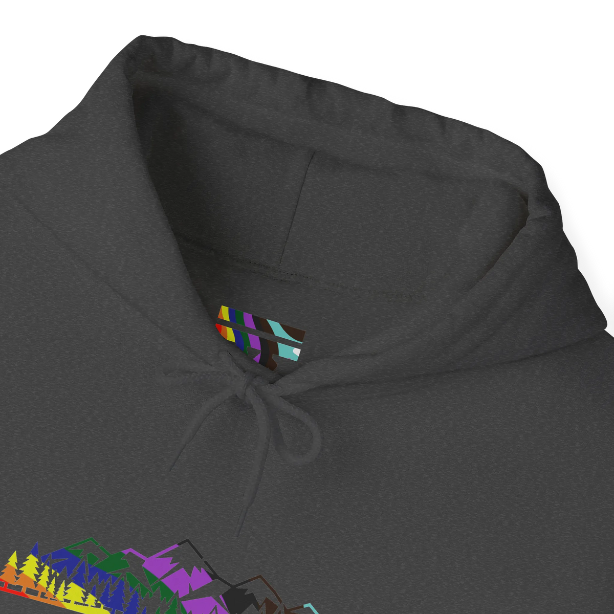 Close-up of a Dark Grey Heather hoodie neckline showing a multicolored FREEBRD LGBTQIA Pride inner-neck logo, matching drawstrings and part of the mountain graphic