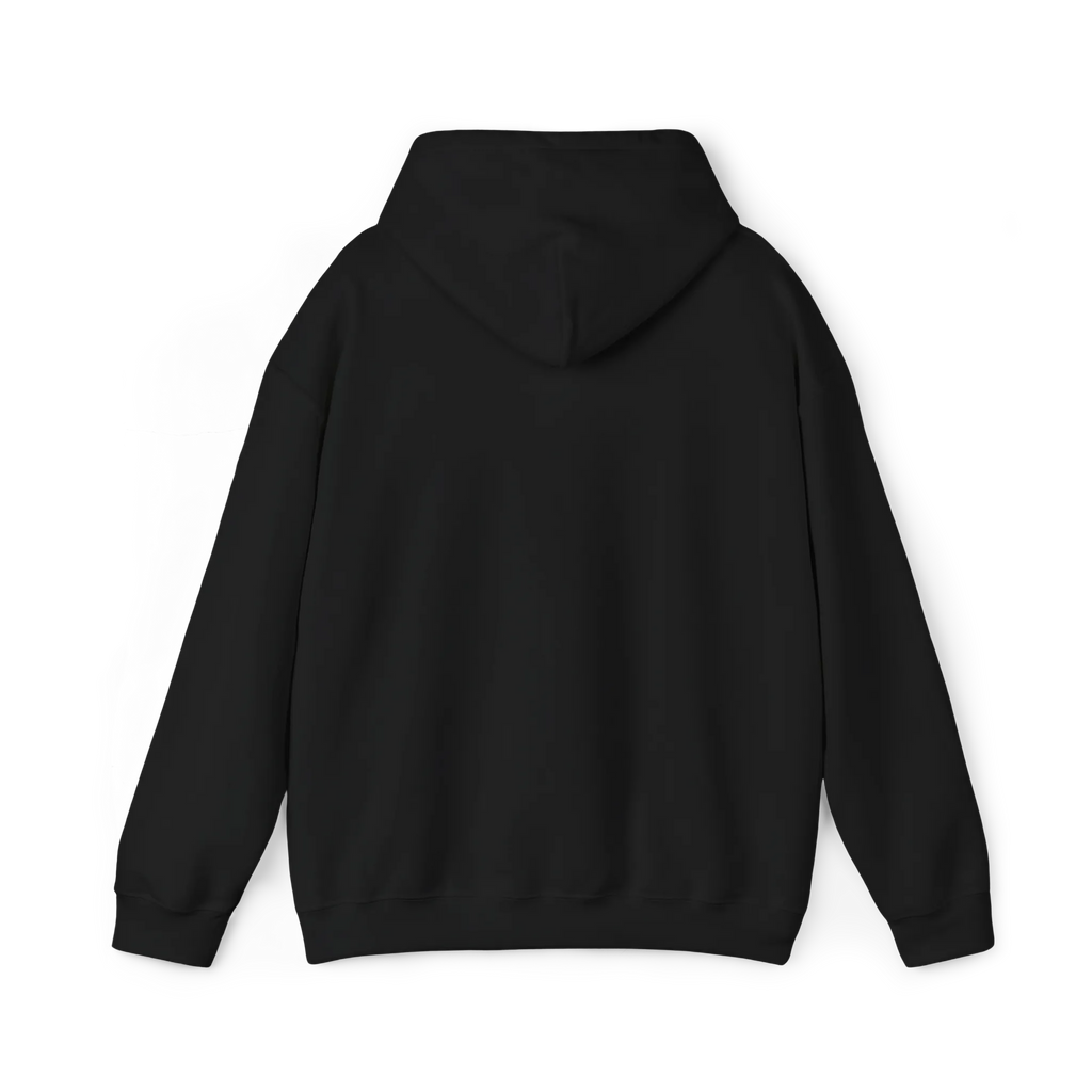 Black pullover hoodie with a plain back, hood and ribbed cuffs and hem, rear view.