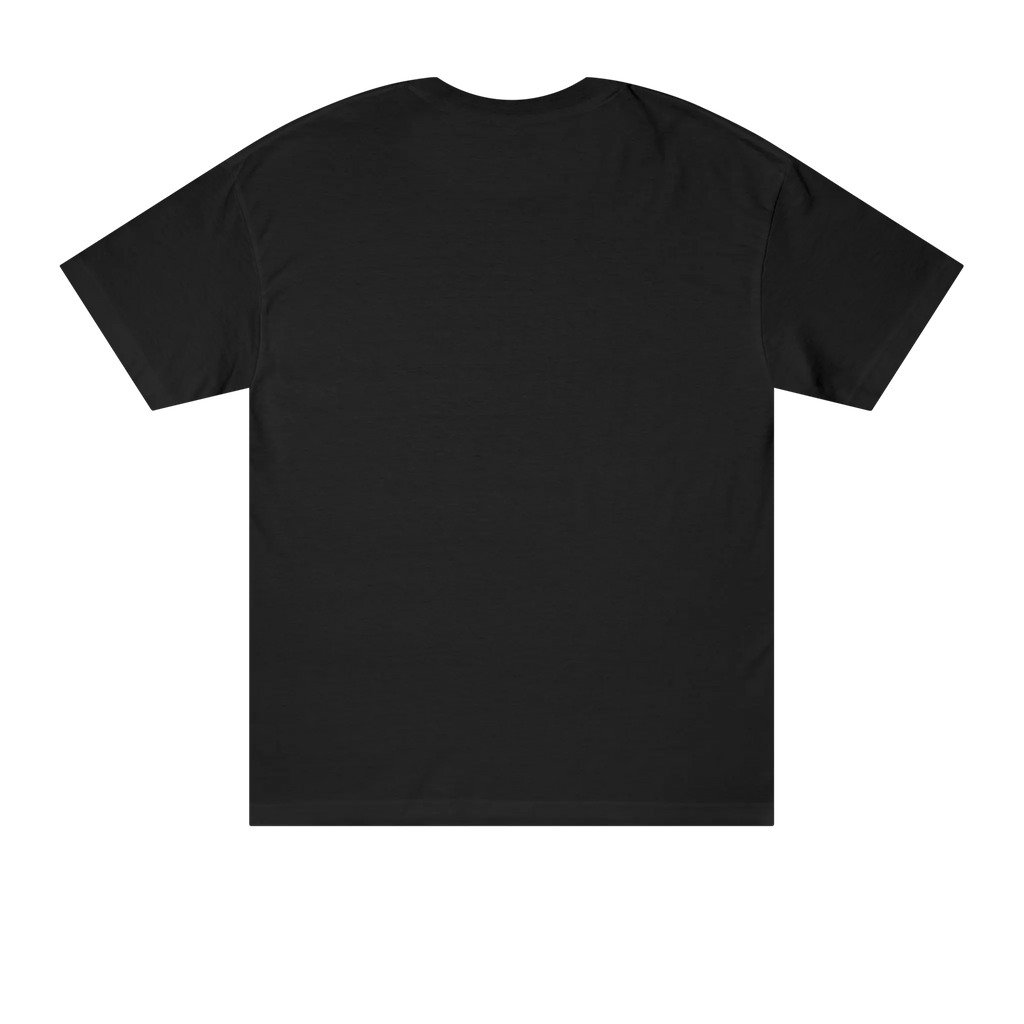 Classic fit crew neck tee, black, back view, no graphic.