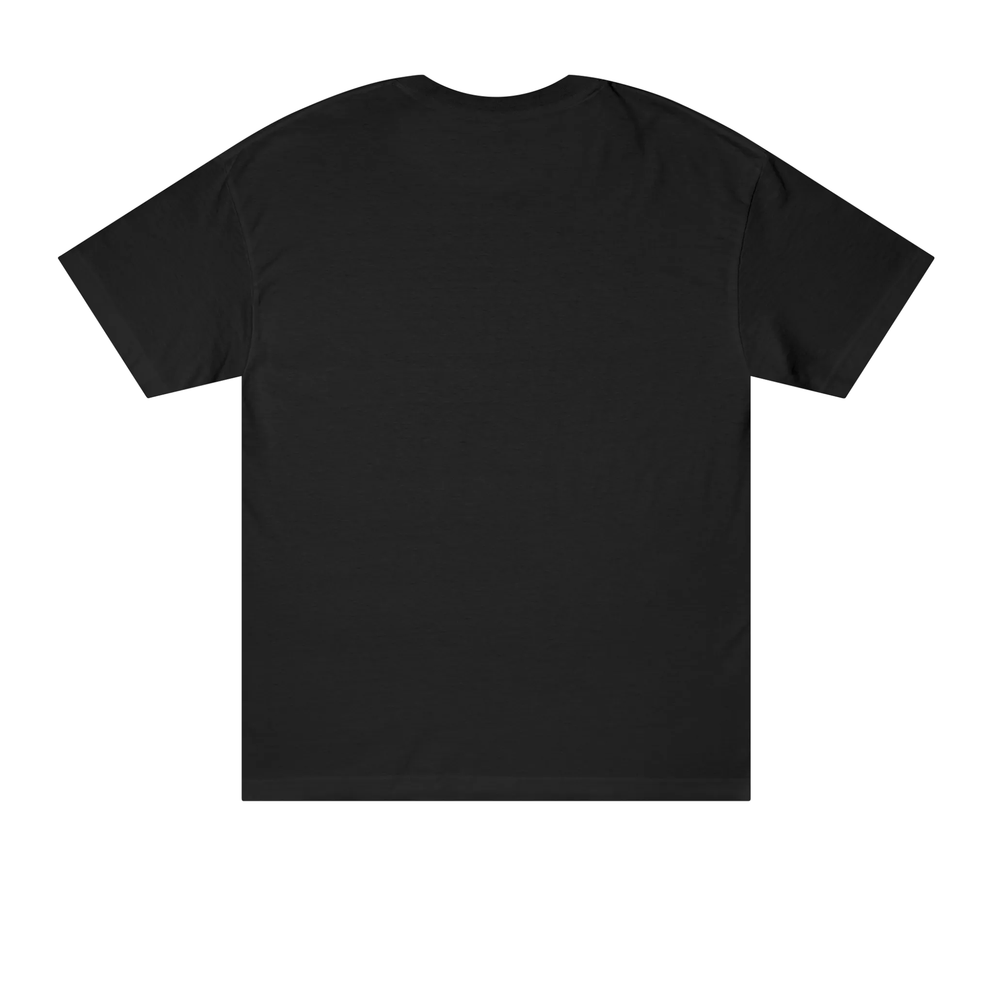 Classic fit crew neck tee, black, back view, no graphic.