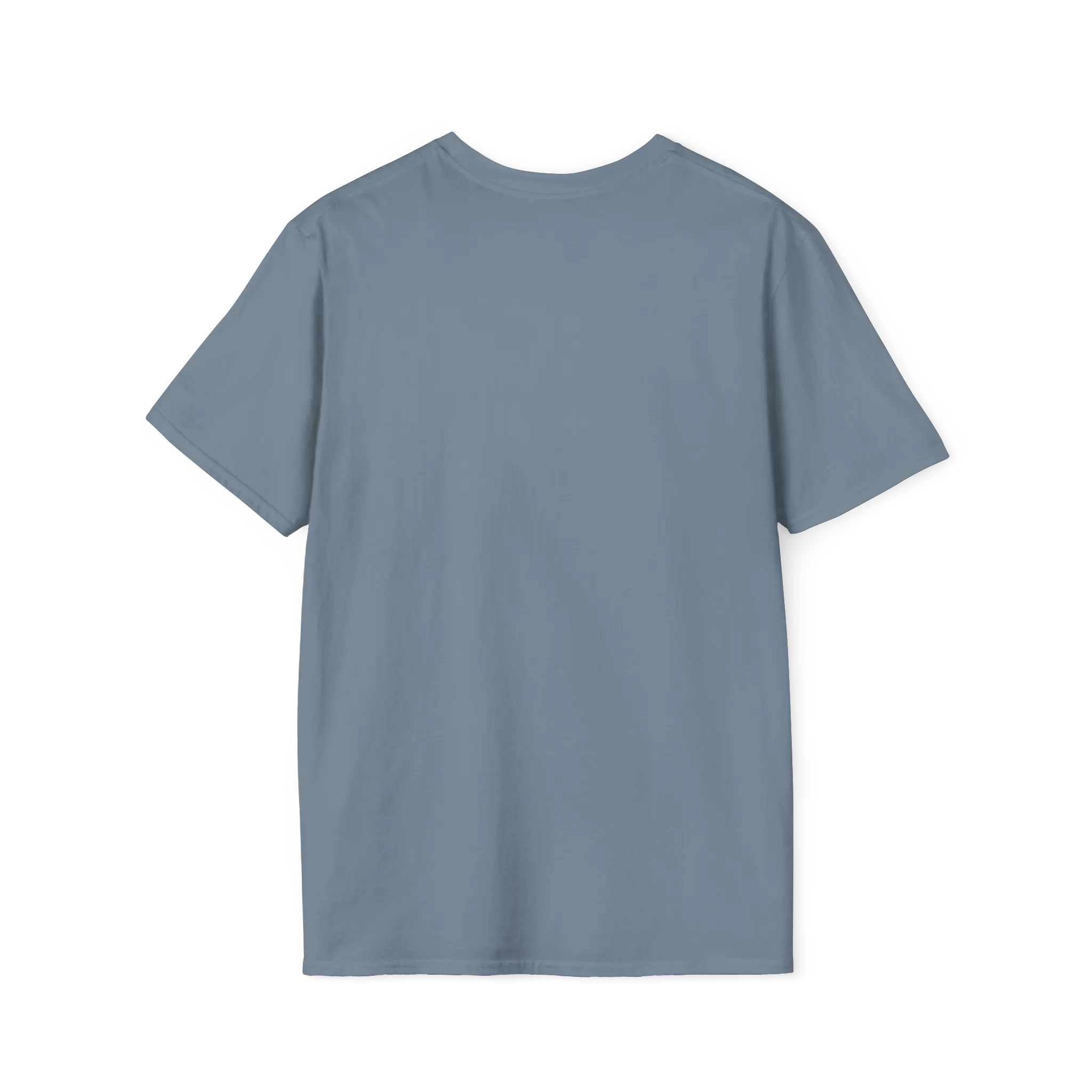 A back view of the stone blue perf retro graphic t-shirt.