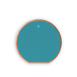 Wood Grain Bluetooth Speaker | Teal Face